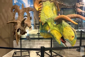 utah trip nhmu